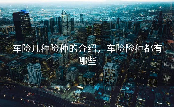 车险几种险种的介绍，车险险种都有哪些