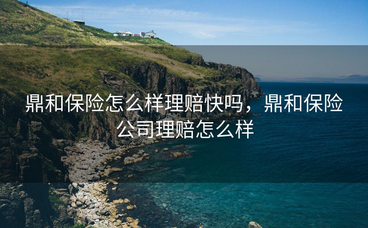 鼎和保险怎么样理赔快吗，鼎和保险公司理赔怎么样