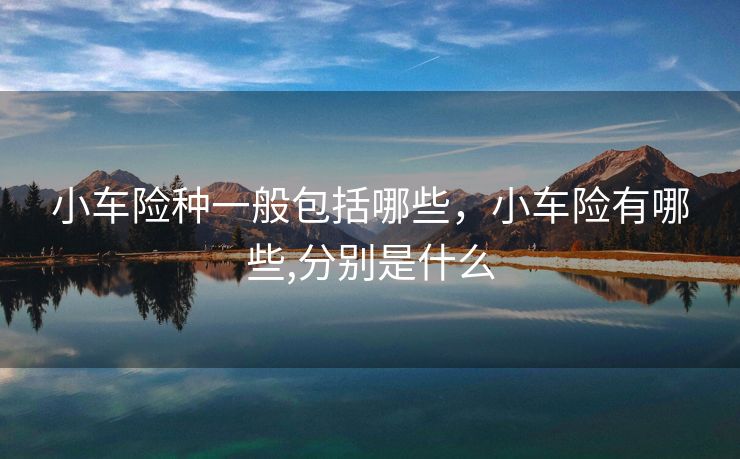 小车险种一般包括哪些，小车险有哪些,分别是什么