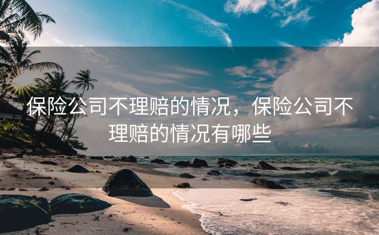 保险公司不理赔的情况，保险公司不理赔的情况有哪些