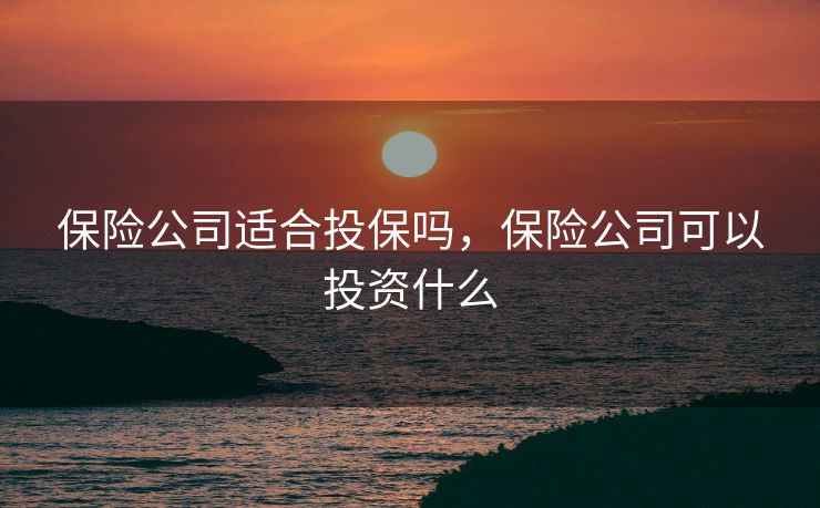 保险公司适合投保吗，保险公司可以投资什么