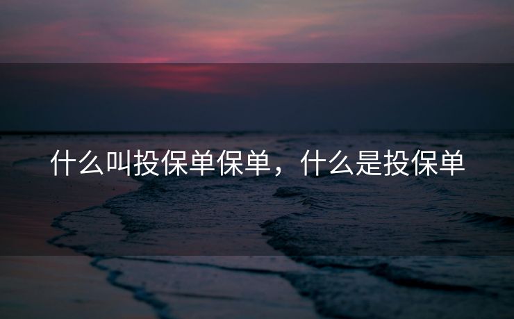 什么叫投保单保单，什么是投保单