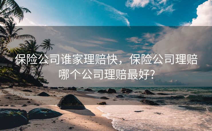 保险公司谁家理赔快，保险公司理赔哪个公司理赔最好?