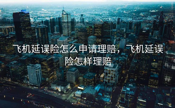飞机延误险怎么申请理赔，飞机延误险怎样理赔