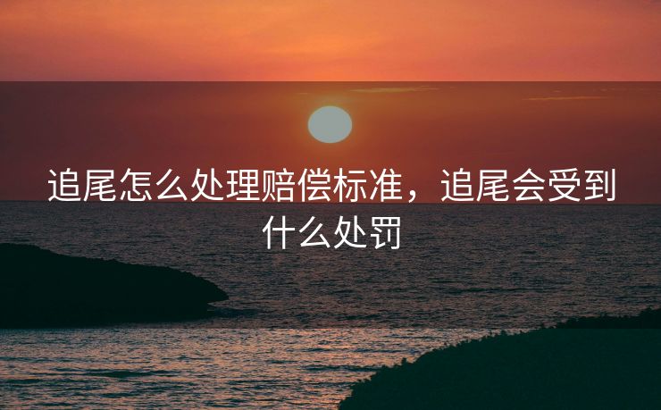 追尾怎么处理赔偿标准，追尾会受到什么处罚