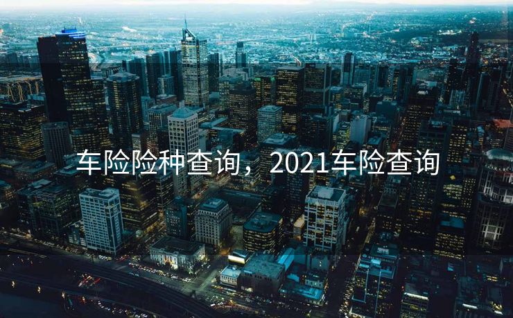 车险险种查询，2021车险查询