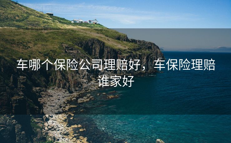 车哪个保险公司理赔好，车保险理赔谁家好
