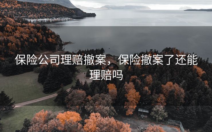 保险公司理赔撤案，保险撤案了还能理赔吗