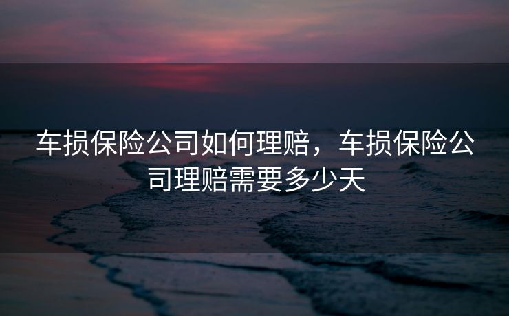 车损保险公司如何理赔，车损保险公司理赔需要多少天