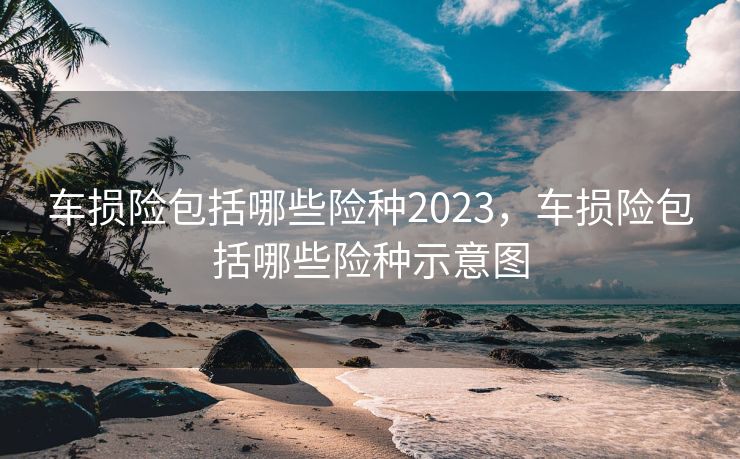 车损险包括哪些险种2023，车损险包括哪些险种示意图