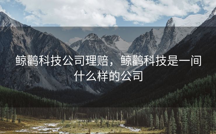 鲸鹳科技公司理赔,鲸鹳科技是一间什么样的公司 鲸鹳科技公司理赔,鲸鹳科技是一间什么样的公司