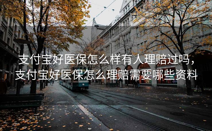 支付宝好医保怎么样有人理赔过吗，支付宝好医保怎么理赔需要哪些资料