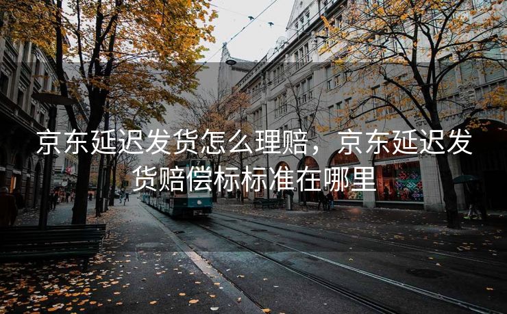京东延迟发货怎么理赔，京东延迟发货赔偿标标准在哪里