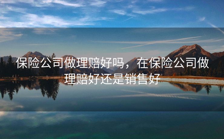 保险公司做理赔好吗，在保险公司做理赔好还是销售好