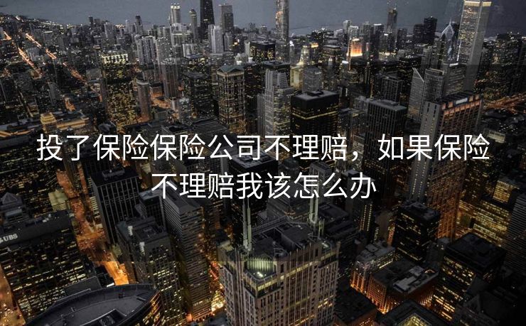 投了保险保险公司不理赔，如果保险不理赔我该怎么办