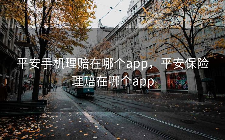 平安手机理赔在哪个app，平安保险理赔在哪个app