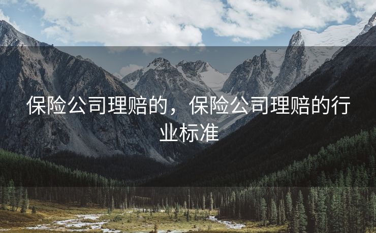 保险公司理赔的，保险公司理赔的行业标准