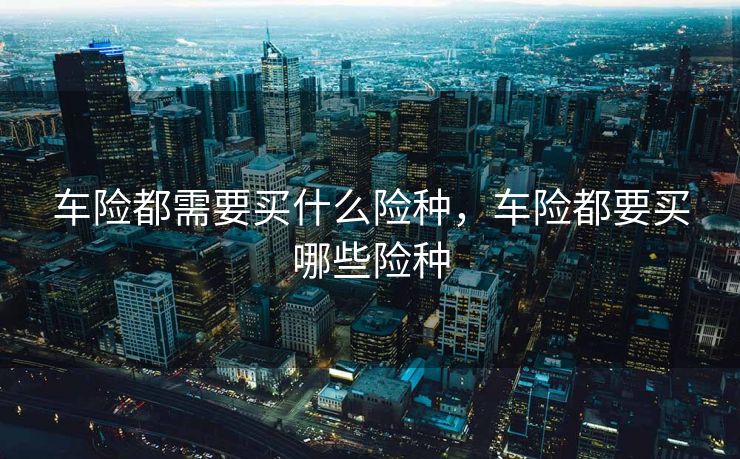 车险都需要买什么险种，车险都要买哪些险种