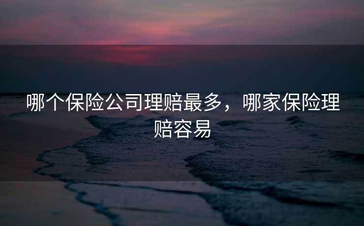 哪个保险公司理赔最多,哪家保险理赔容易 哪个保险公司理赔最多,哪家保险理赔容易