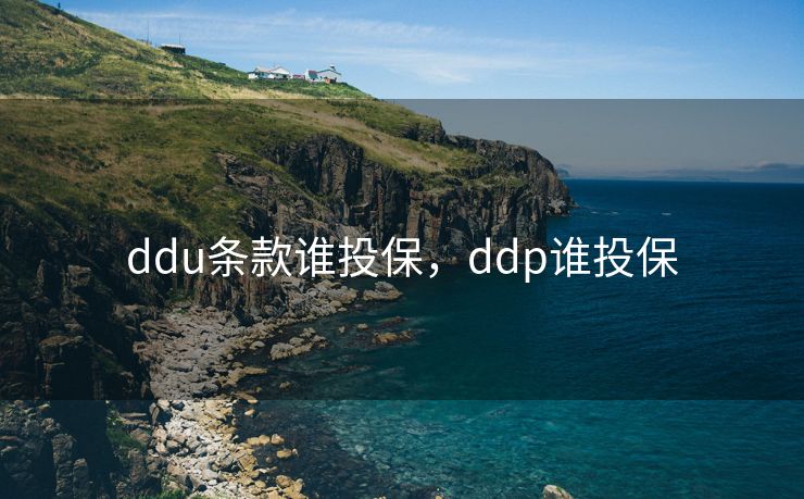 ddu条款谁投保，ddp谁投保