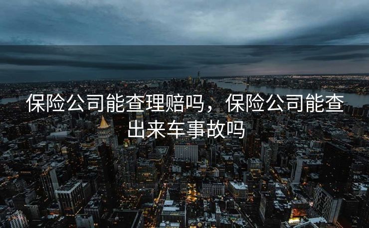 保险公司能查理赔吗，保险公司能查出来车事故吗