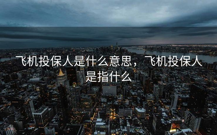 飞机投保人是什么意思，飞机投保人是指什么