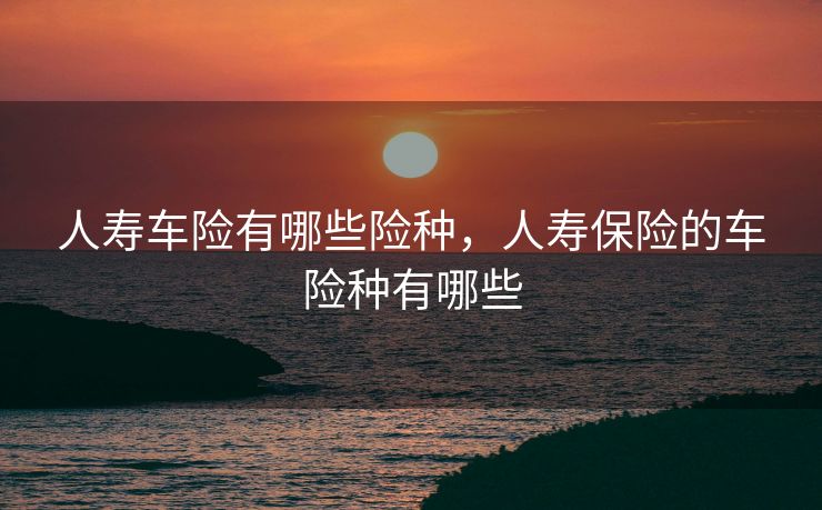人寿车险有哪些险种，人寿保险的车险种有哪些
