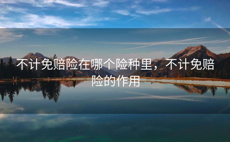 不计免赔险在哪个险种里，不计免赔险的作用