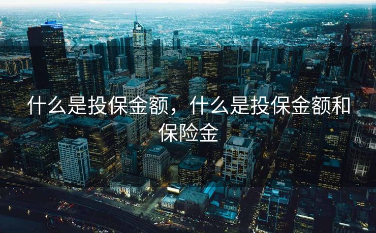 什么是投保金额，什么是投保金额和保险金