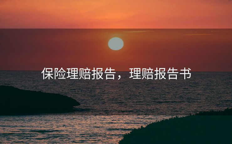 保险理赔报告，理赔报告书