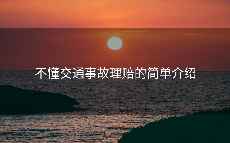 不懂交通事故理赔的简单介绍