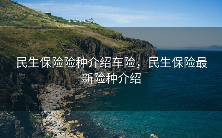 民生保险险种介绍车险，民生保险最新险种介绍