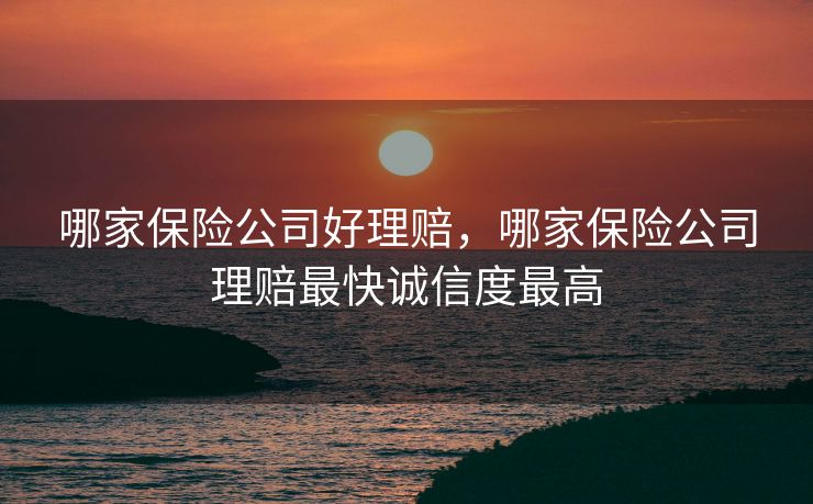哪家保险公司好理赔，哪家保险公司理赔最快诚信度最高
