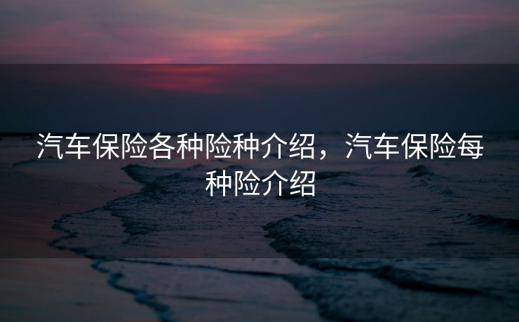 汽车保险各种险种介绍，汽车保险每种险介绍