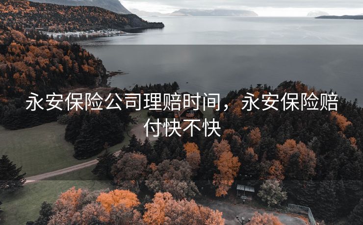 永安保险公司理赔时间，永安保险赔付快不快