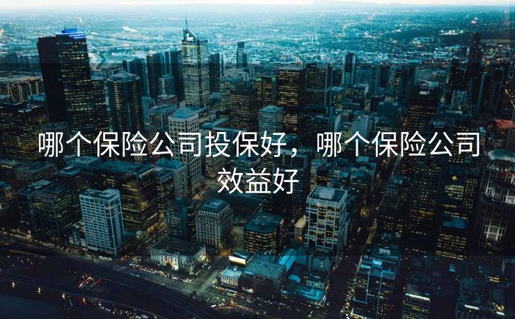 哪个保险公司投保好，哪个保险公司效益好