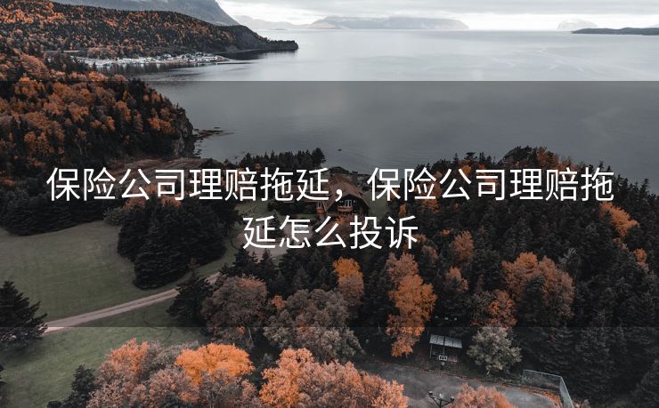 保险公司理赔拖延,保险公司理赔拖延怎么投诉 保险公司理赔拖延,保险公司理赔拖延怎么投诉