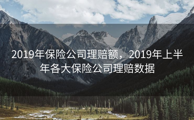 2019年保险公司理赔额，2019年上半年各大保险公司理赔数据