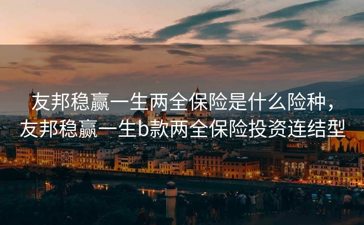 友邦稳赢一生两全保险是什么险种，友邦稳赢一生b款两全保险投资连结型
