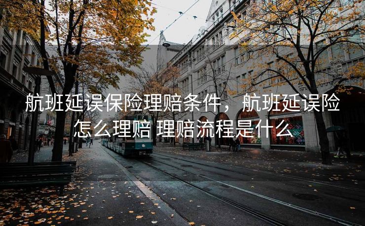 航班延误保险理赔条件，航班延误险怎么理赔 理赔流程是什么