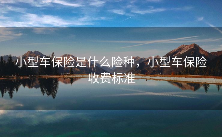 小型车保险是什么险种，小型车保险收费标准