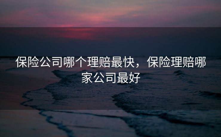 保险公司哪个理赔最快，保险理赔哪家公司最好