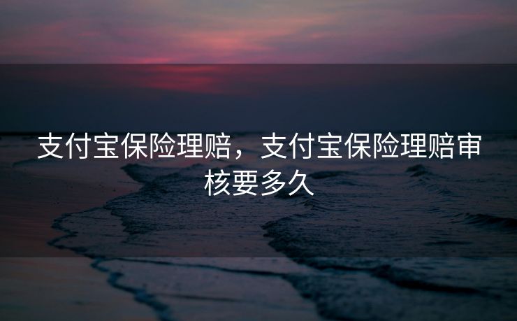 支付宝保险理赔，支付宝保险理赔审核要多久
