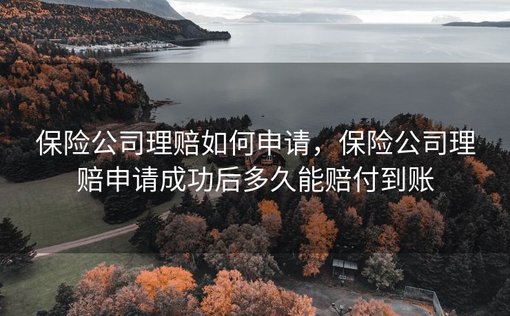 保险公司理赔如何申请,保险公司理赔申请成功后多久能赔付到账 保险公司理赔如何申请,保险公司理赔申请成功后多久能赔付到账