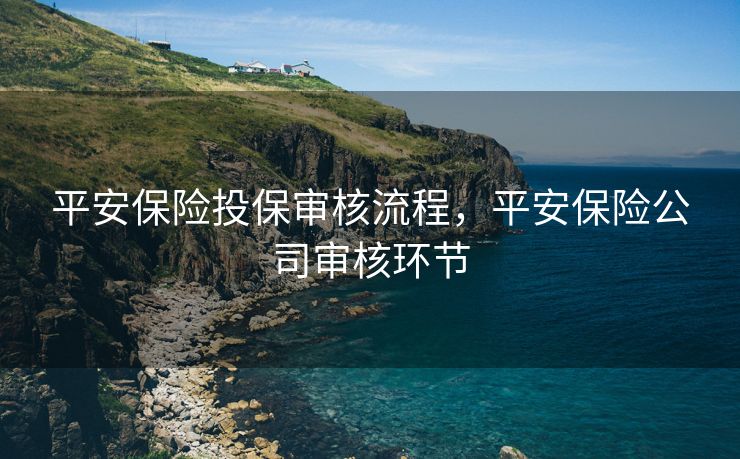 平安保险投保审核流程，平安保险公司审核环节