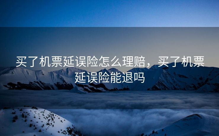 买了机票延误险怎么理赔，买了机票延误险能退吗