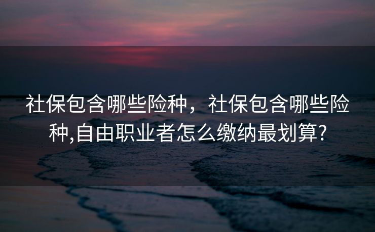 社保包含哪些险种，社保包含哪些险种,自由职业者怎么缴纳最划算?