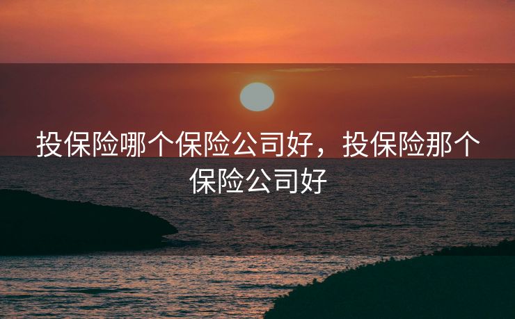 投保险哪个保险公司好，投保险那个保险公司好