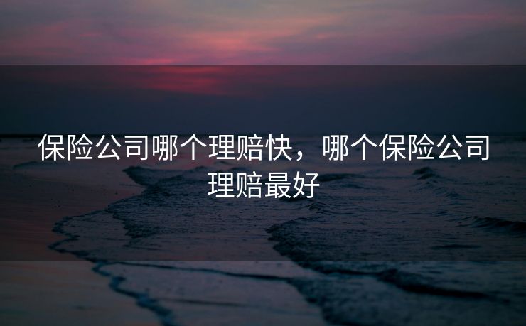 保险公司哪个理赔快，哪个保险公司理赔最好