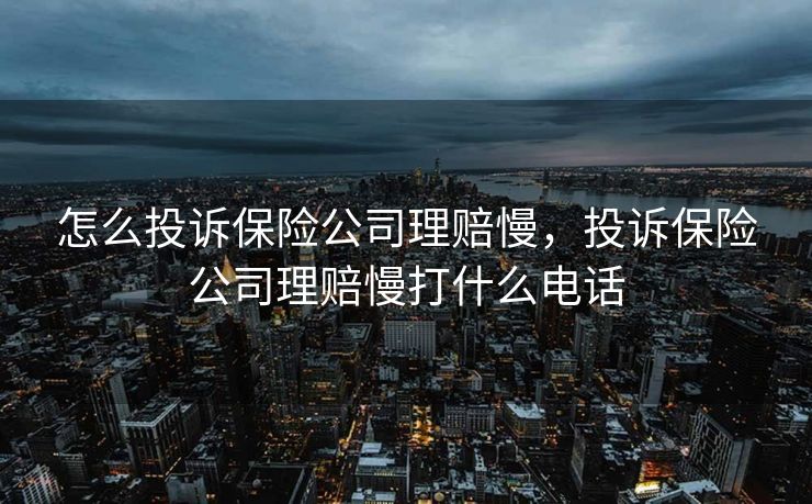 怎么投诉保险公司理赔慢,投诉保险公司理赔慢打什么电话 怎么投诉保险公司理赔慢,投诉保险公司理赔慢打什么电话